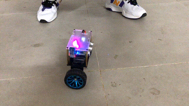 Two-wheeled balancing robot