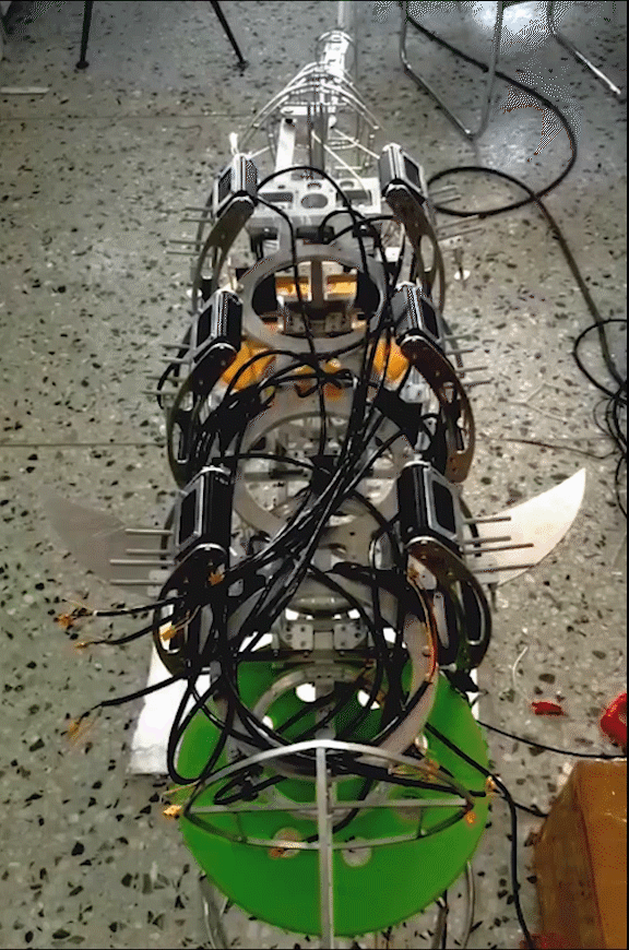 Amphibious Bionic Robot