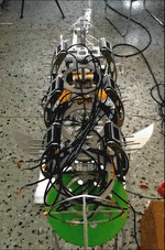 Amphibious Bionic Robot